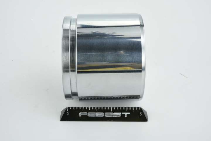 FEBEST Émbolo, pinza del freno (0176-GX100F) para TOYOTA RAV 4 II (CLA2_, XA2_, ZCA2_, ACA2_) 2.4 (ACA28) (120 KW / 163 CV / de 2000)