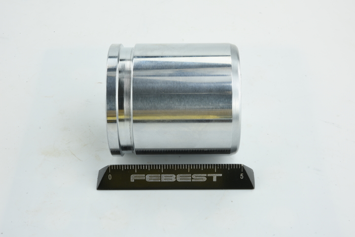 OEM 4100157G00 FEBEST Stempel, bremsekaliper 0276-LCD22F med NISSAN, ISUZU, INFINITI, GMC