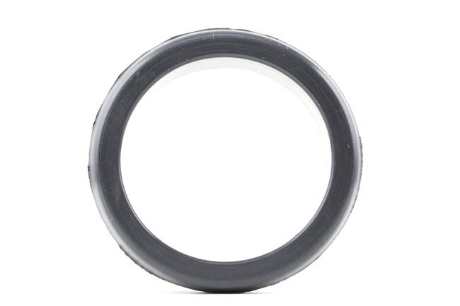 FA1 Anillo obturador (076.365.100) para BMW X5 (E53) 3.0 d (155 KW / 211 CV / de 2003)