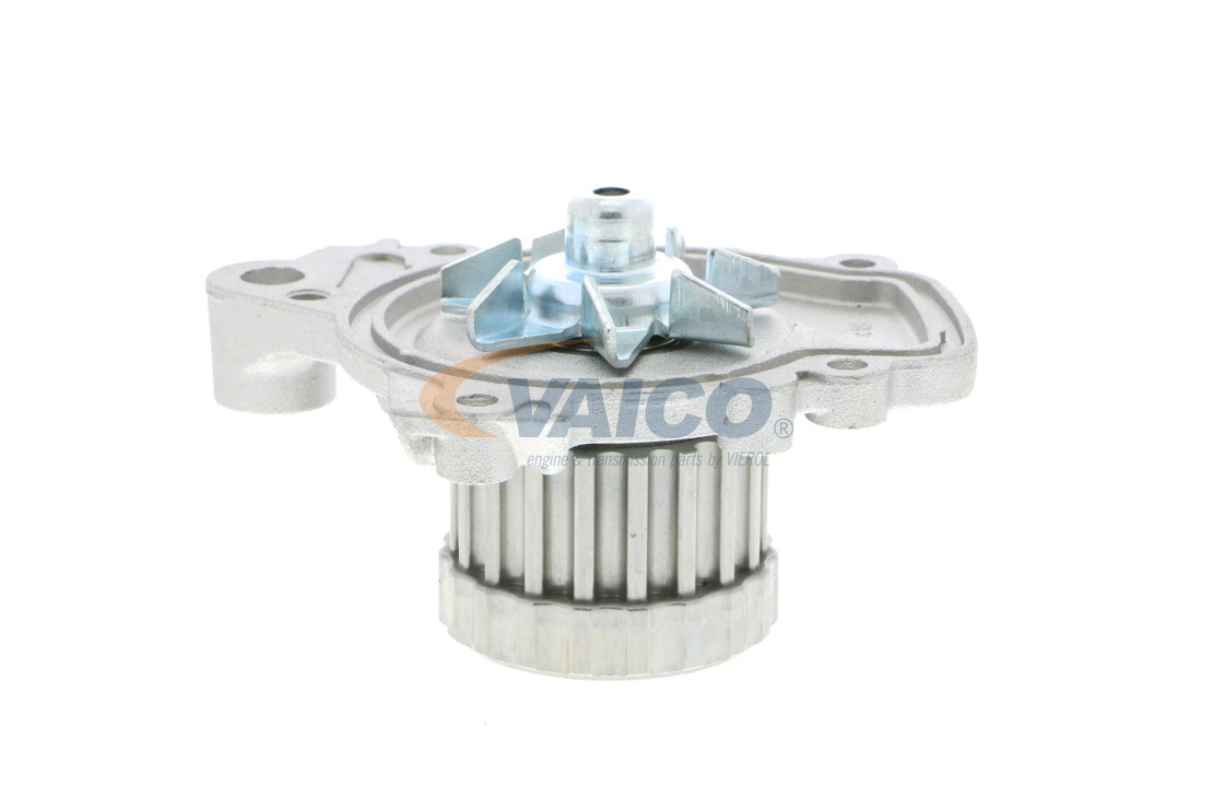 OEM 19200PLMA01 VAICO Water pump V26-50001 for HONDA