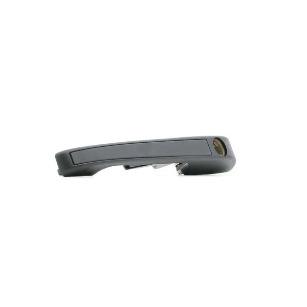 OEM 191837207 AUTOMEGA Oven kahva 100009010 varten VW, AUDI, SKODA, SEAT