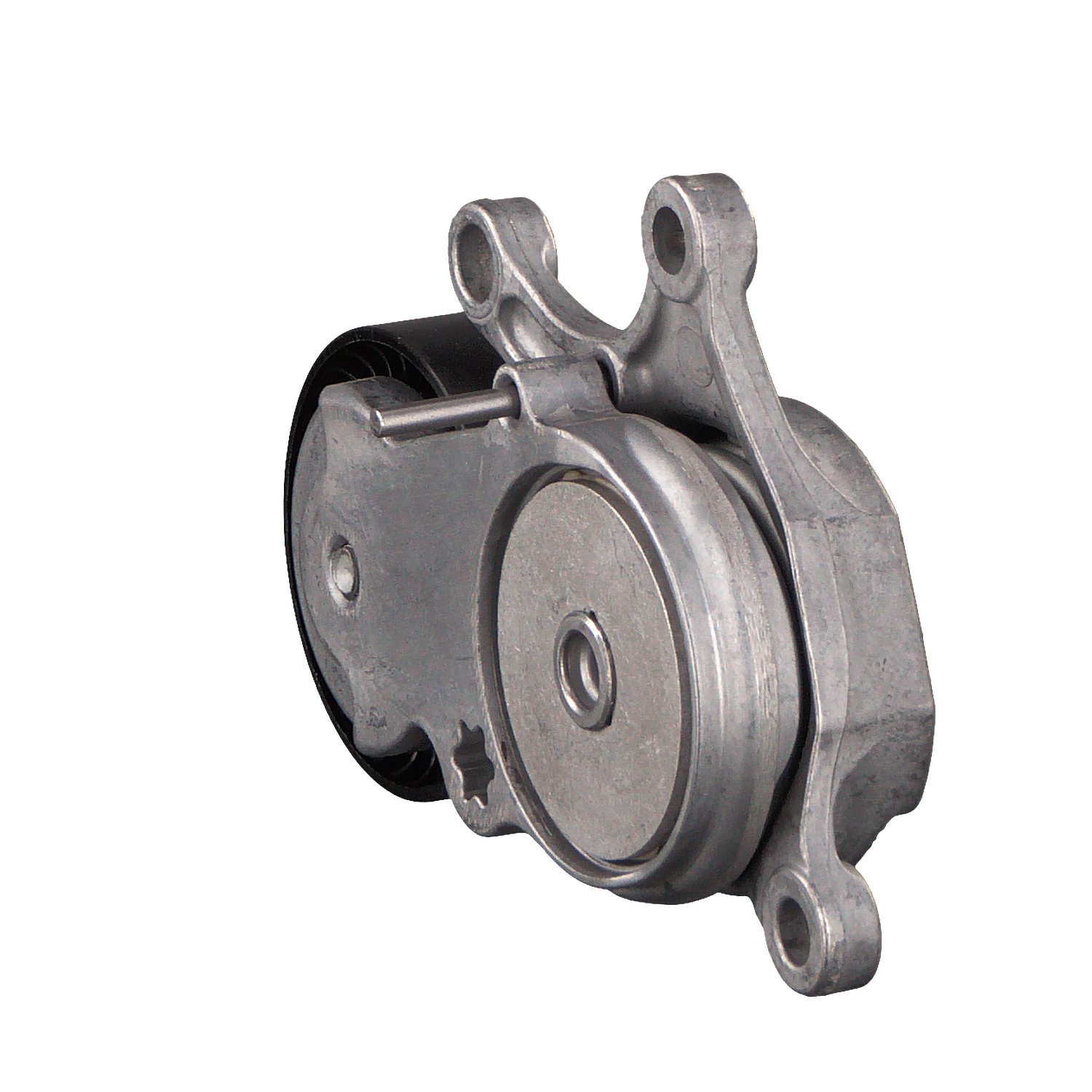 GLB Riemspanner, Poly V-riem 100625 FEBI BILSTEIN