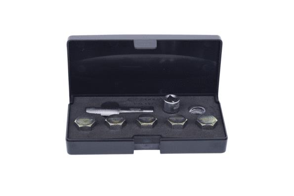 comprare Kit riparazione, filetto vite scarico dell'olio - KS TOOLS (150.4925)