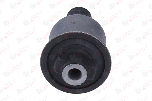 OEM A2103308807 BIRTH  Lagerung, Lenker 2269 für BMW, MERCEDES-BENZ, SMART, DAIMLER