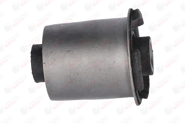 BIRTH Supporto assale (2447) per RENAULT Scénic I (JA0/1_, FA0_) 2.0 16V RX4 (102 KW / 139 CV / dal 2000)
