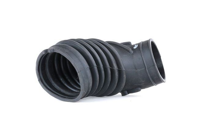 OEM 1739575 ESEN SKV Imuputki, ilmansuodatin 24SKV413 varten BMW, MINI