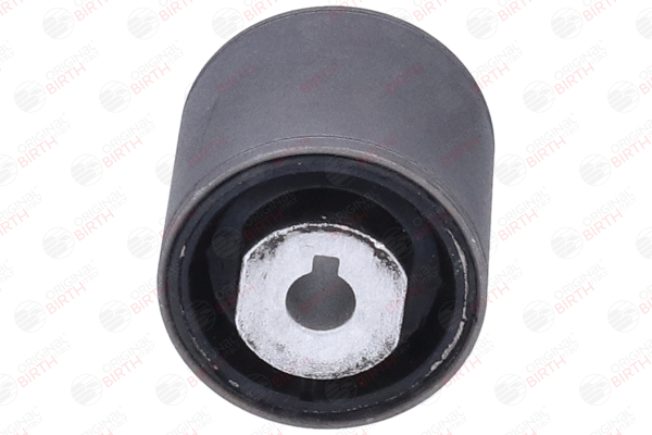 OEM 4545711 BIRTH Supporto braccio oscillante 2594 per SAAB
