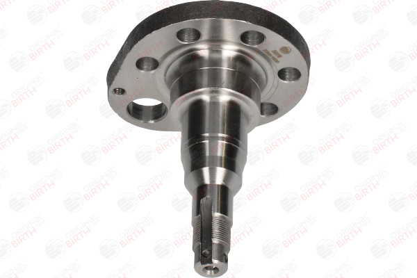 OEM 191501117D BIRTH Wheel Hub 3379 for VW, AUDI, SKODA, SEAT