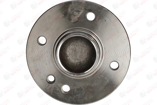 OEM 33416756830 BIRTH Wheel Hub 3389 for BMW, MINI