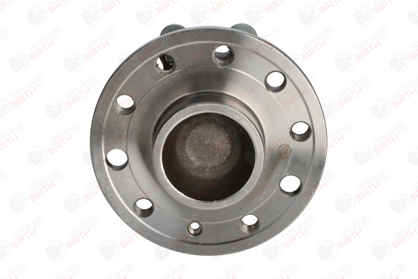 OEM 24421906 BIRTH Hjulnav 3418 med OPEL, FIAT, SAAB, CADILLAC, VAUXHALL