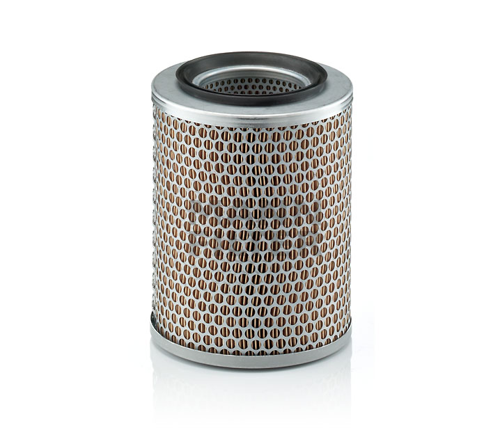 OEM CH12091 MANN-FILTER Ilmansuodatin C 17 134 varten