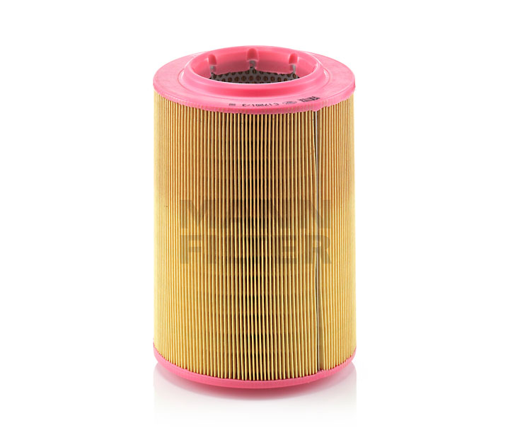 MANN-FILTER Luftfilter C 17 201/3