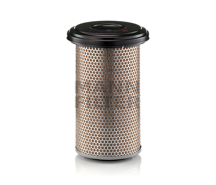 kaufen Luftfilter - MANN-FILTER (C 20 325)