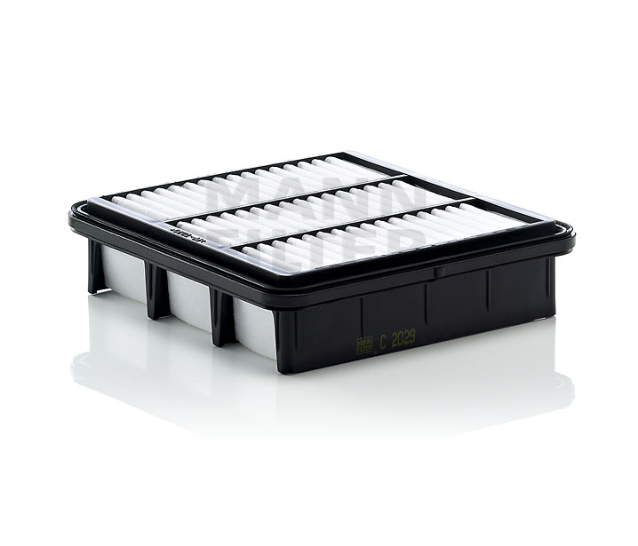 Luftfilter MANN-FILTER C 2029