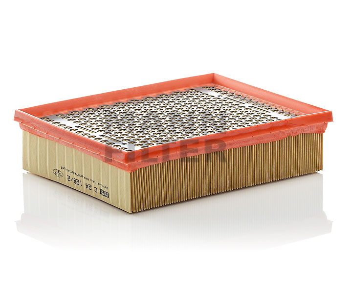 bestellen Luftfilter - MANN-FILTER (C 24 128/2)