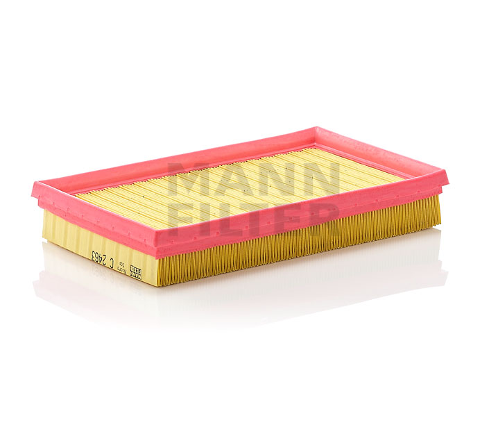 kaufen Luftfilter - MANN-FILTER (C 2463)