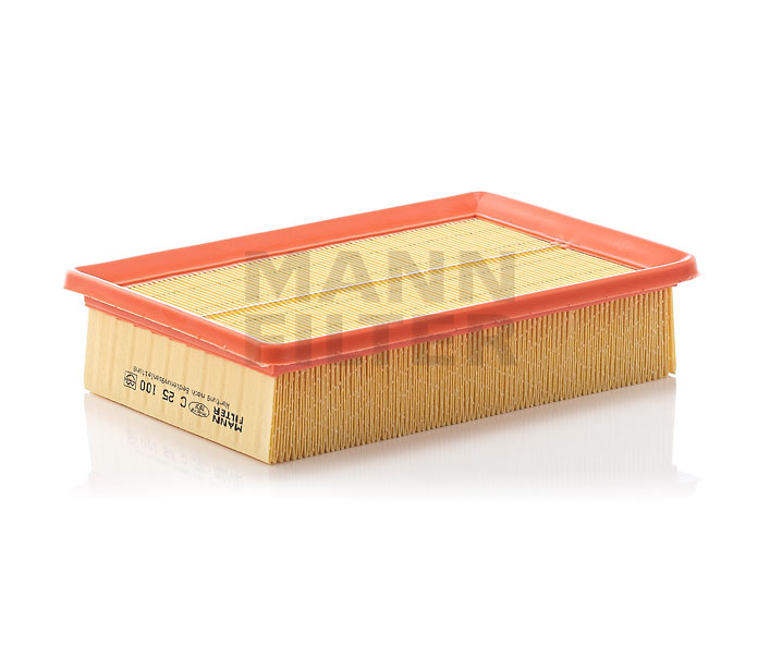 MANN-FILTER C 25 100 155 Luftfilter