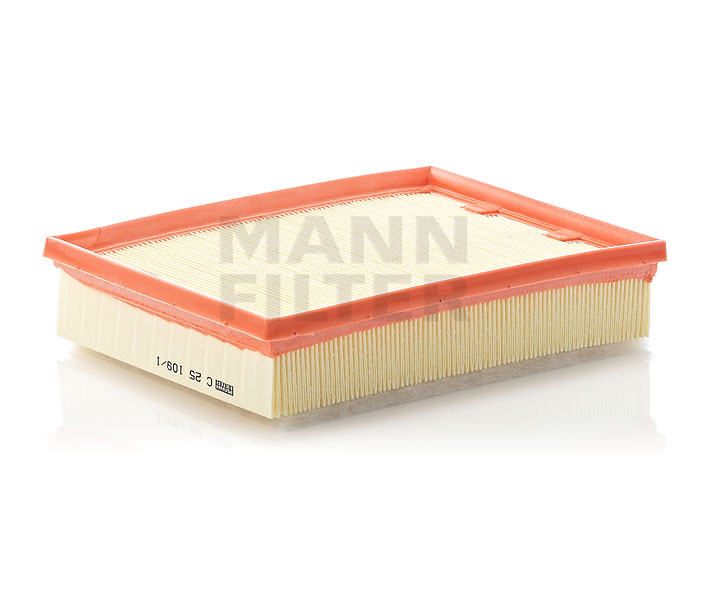MANN-FILTER Luftfilter C 25 109/1