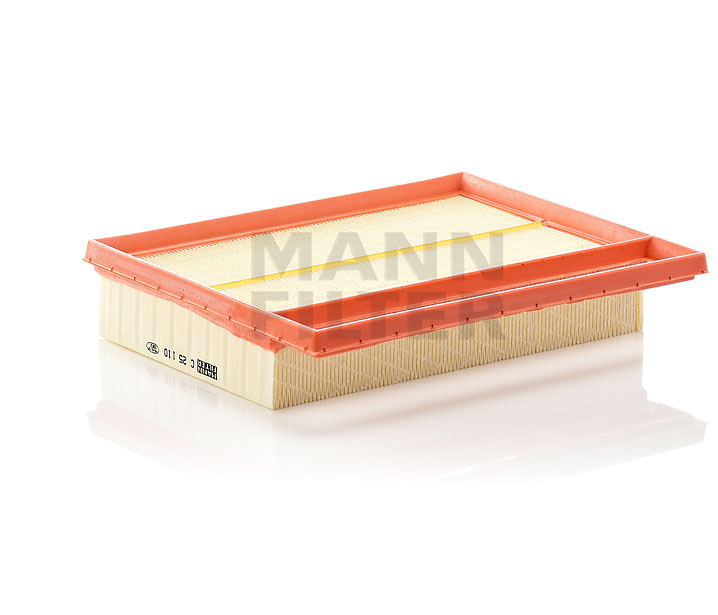 Luftfilter C 25 110-2