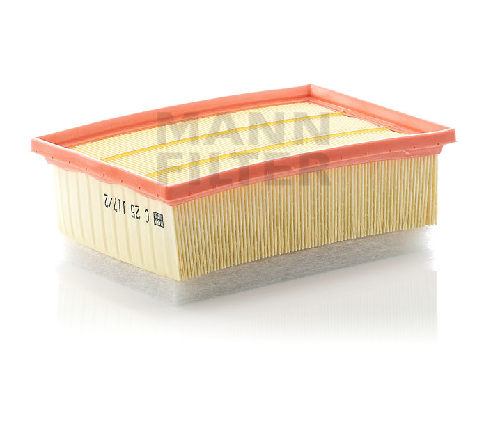 MANN-FILTER Luftfilter C 25 117/2