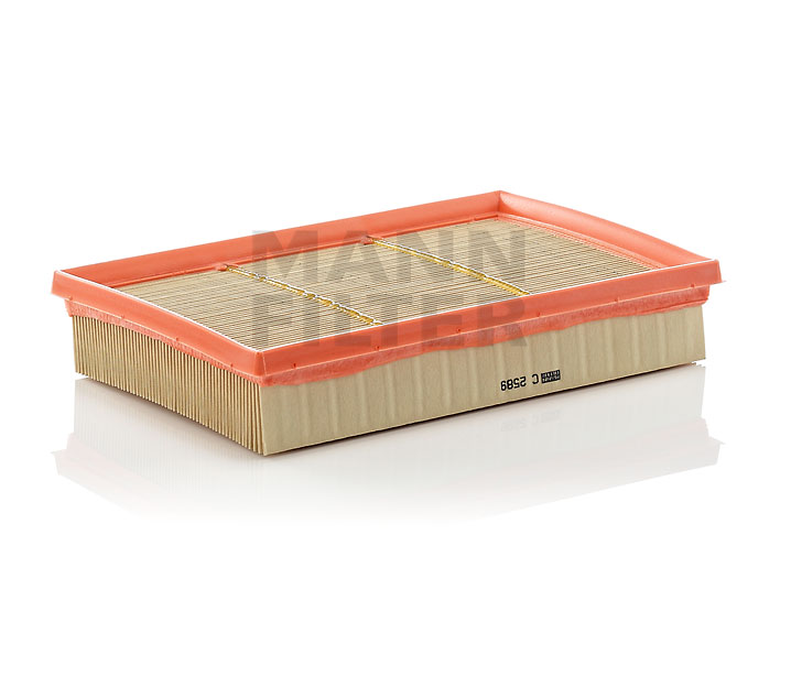 bestellen Luftfilter - MANN-FILTER (C 2589)