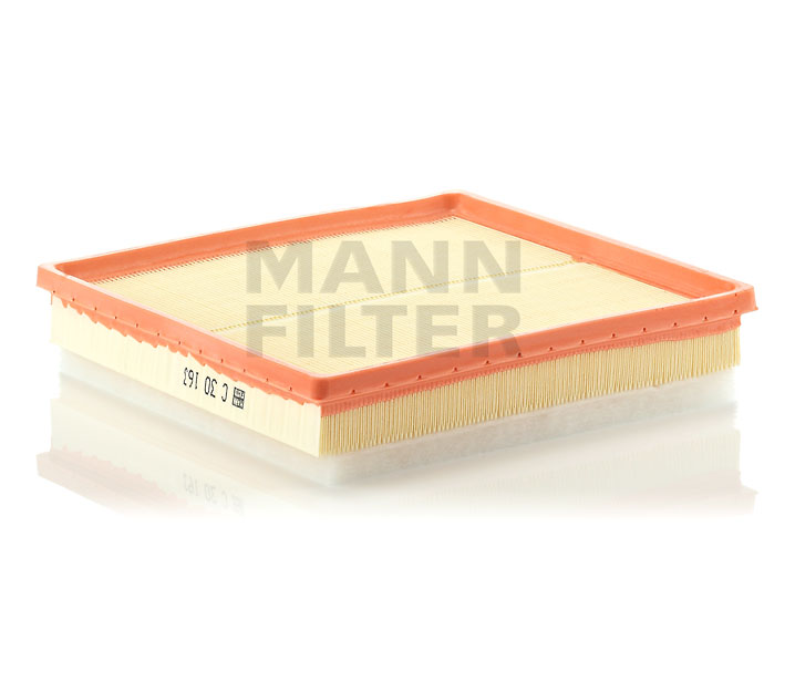 PRIMASTAR Luftfilter MANN-FILTER C 30 163