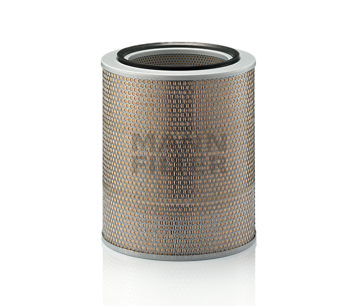 kaufen Luftfilter - MANN-FILTER (C 31 1093/2)