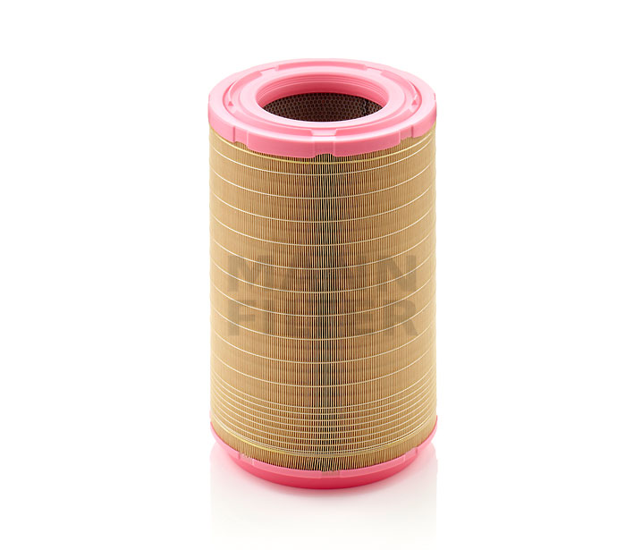 bestellen Luftfilter - MANN-FILTER (C 31 1254)
