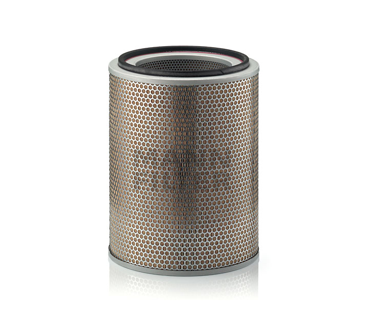 OEM 7411394 MANN-FILTER Air filter C 31 1256 for
