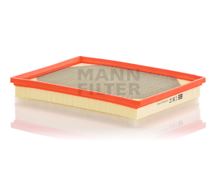 MANN-FILTER Filtre à air C 36 172