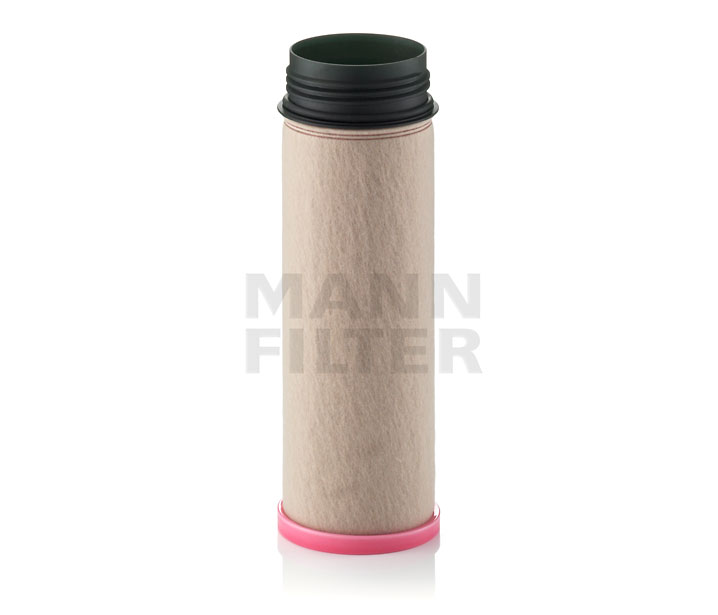 kaufen Sekundärluftfilter - MANN-FILTER (CF 1250)