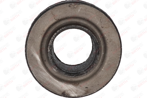 Draagarmrubber (4843) van BIRTH Voor VW LT 40-55 I Flatbed Vrachtwagen / Chassis (293-909) 2.4 TD (70 KW / 95 PK / Van 1992)