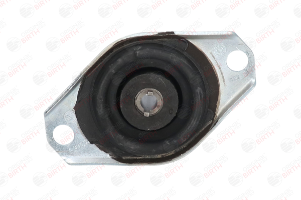 comprare Supporto motore - BIRTH (50073)