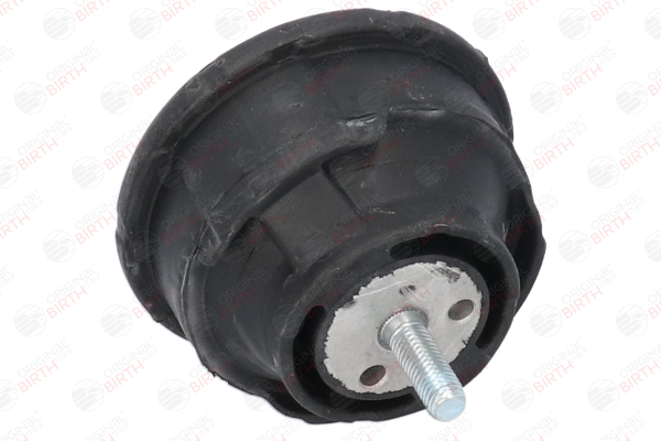 comprare Supporto motore - BIRTH (50122)