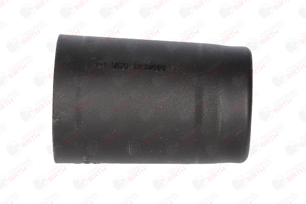 BIRTH Capa de protecção / fole, amortecedor (50323) para RENAULT CLIO II (BB0/1/2_, CB0/1/2_) 1.0 (BB0Y, BB2Y, CB0Y, CB2Y) (43 KW / 58 CV / de 1999)