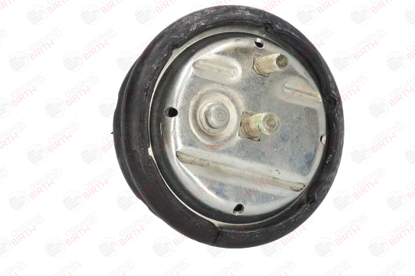 OEM 11811094149 BIRTH Supporto motore 50417 per BMW