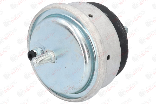 OEM 22116750109 BIRTH Engine mount 50423 for BMW