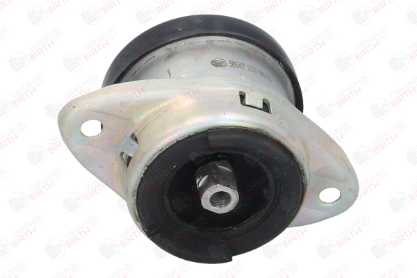 OEM 184466 BIRTH Moottorin tuki 50547 varten VW, FORD, PEUGEOT, CITROЁN, DS