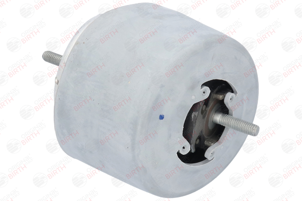 OEM 8E0199379F BIRTH Motorfeste 50746 for VW, AUDI, SKODA, SEAT