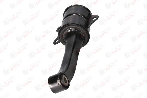 comprare Supporto motore - BIRTH (51048)