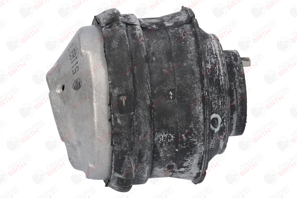 OEM A2202402717 BIRTH Supporto motore 51183 per MERCEDES-BENZ