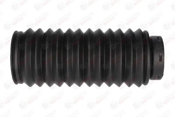 BIRTH Capa de protecção / fole, amortecedor (51382) para RENAULT ESPACE IV (JK0/1_) 3.0 dCi (JK0J, JK0V) (130 KW / 177 CV / de 2002)