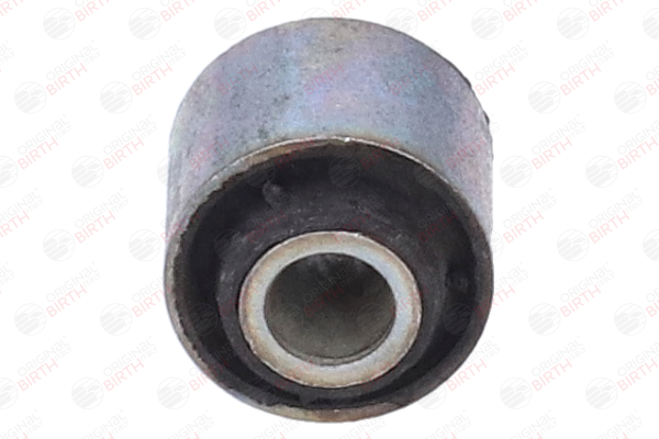 BIRTH Casquilho, amotecedor (51621) para RENAULT KANGOO Express (FC0/1_) 1.5 dCi (FC1E) (50 KW / 68 CV / de 2005)