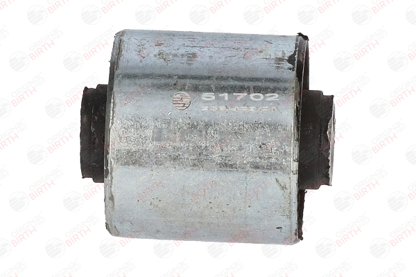 OEM 6025000249 BIRTH Supporto braccio oscillante 51702 per RENAULT, NISSAN, DACIA