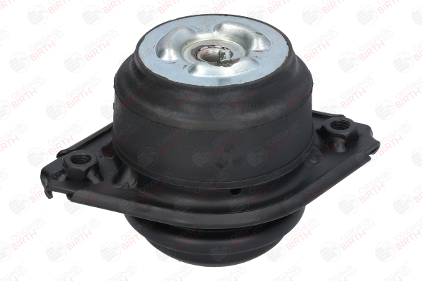OEM A2512403117 BIRTH Motorfeste 52115 for MERCEDES-BENZ