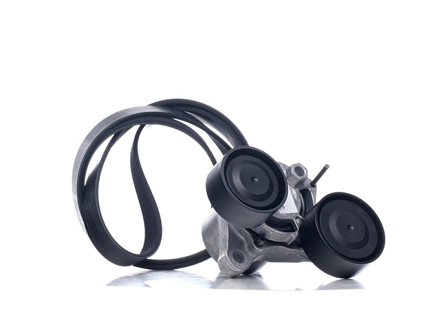 Poly V-riem set (529 0206 10) van INA Voor BMW 5 Sedan (F10) 530 d (210 KW / 286 PK / Van 2010)