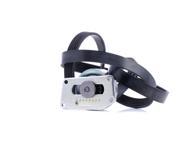 Poly V-riem set (529 0216 10) van INA Voor PEUGEOT 206 Hatchback (2A/C) 1.6 (81 KW / 110 PK / Van 2005)
