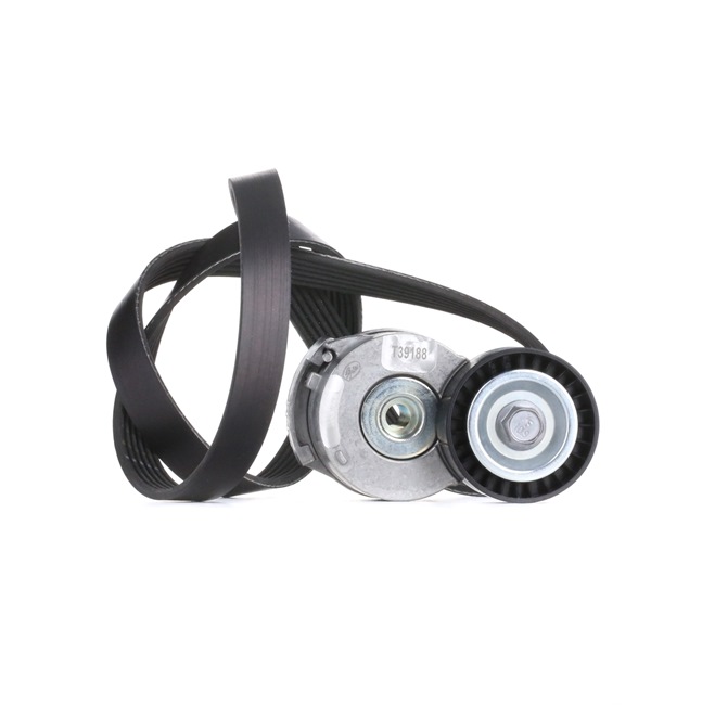 OEM 9M5Q6A228BA INA Kileremsett 529 0222 10 for FORD