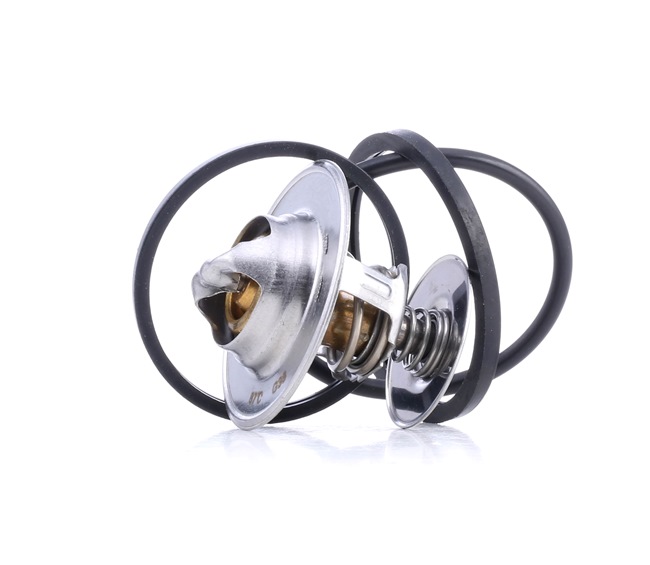 OEM 03G121111A FAE  Kühlwasserthermostat 5307087 für VW, AUDI, FORD, SKODA, SEAT