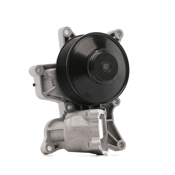 X6 Waterpomp 538 0185 10 INA